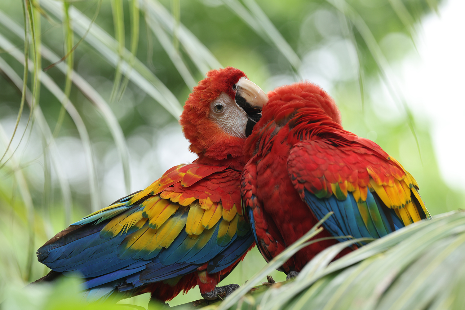 最美哈苏相机评测：除了仪式感，你还能收获这些, image size:1500x1000